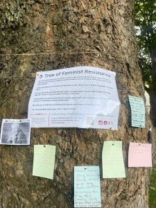 BWV Members Summer Event_Tree of Feminist Resistance (18)